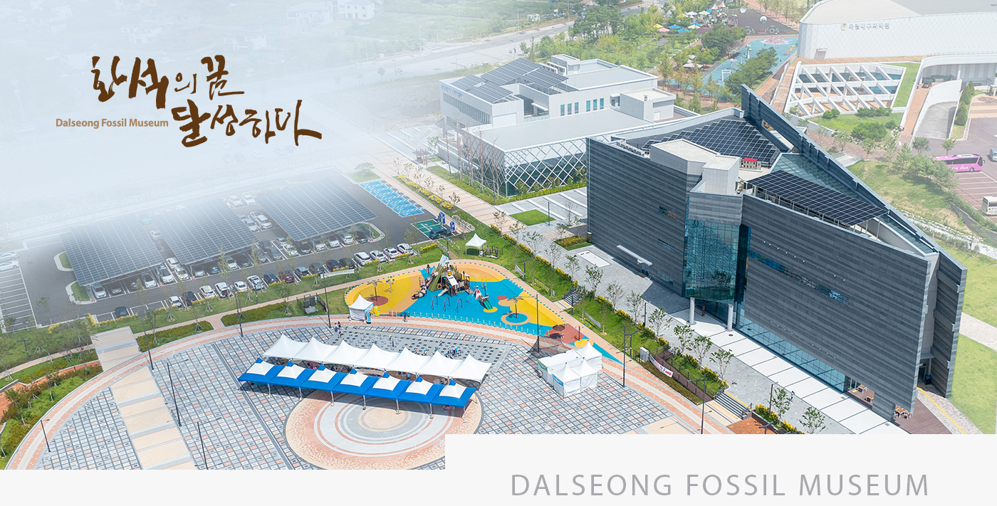 화석의 꿈 달성하다 Dalseong Fossil Museum